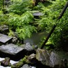 庭園