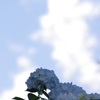 香り立つ