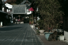 安芸の小京都ちょい旅　01