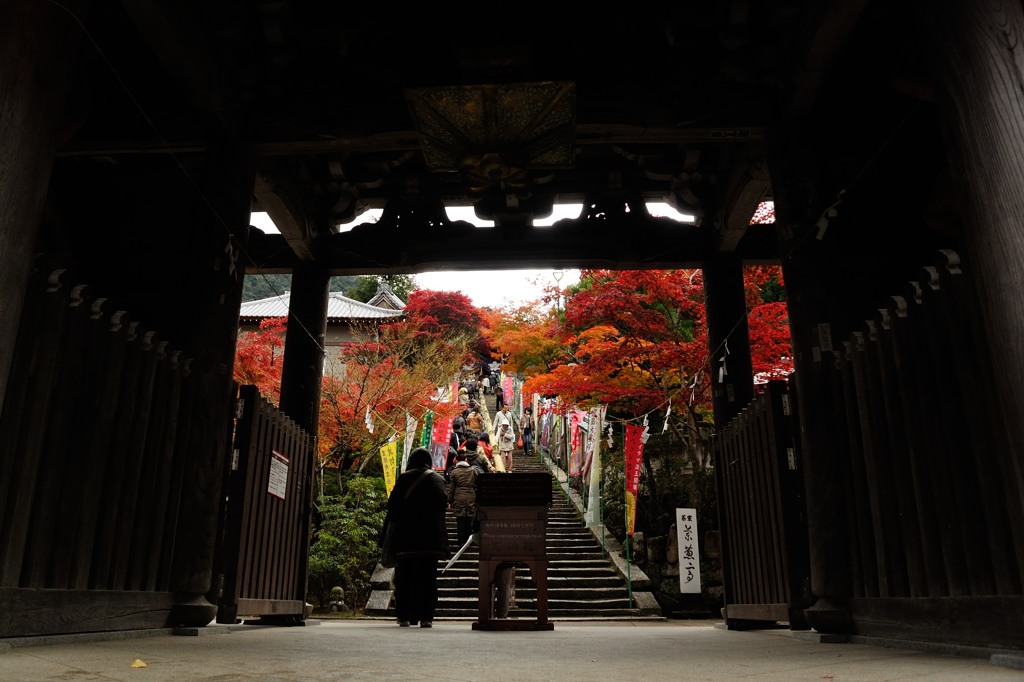 大聖院　紅葉