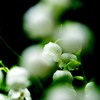 ＳＵＺＵＲＡＮ　- 02 -