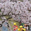 お花見♪