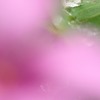 雫