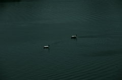 静かな海