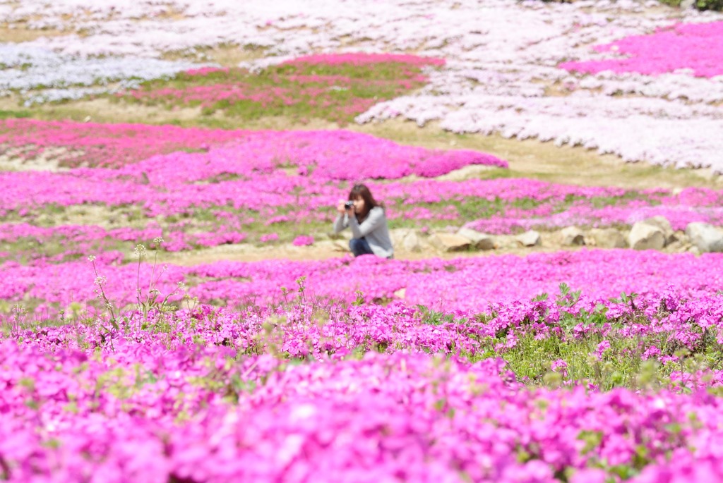 芝桜に囲まれて。。。