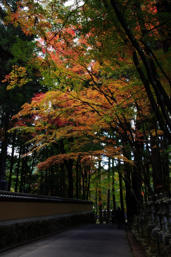 佛通寺の紅葉　01