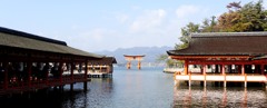 厳島神社から見る大鳥居