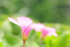 輝く心