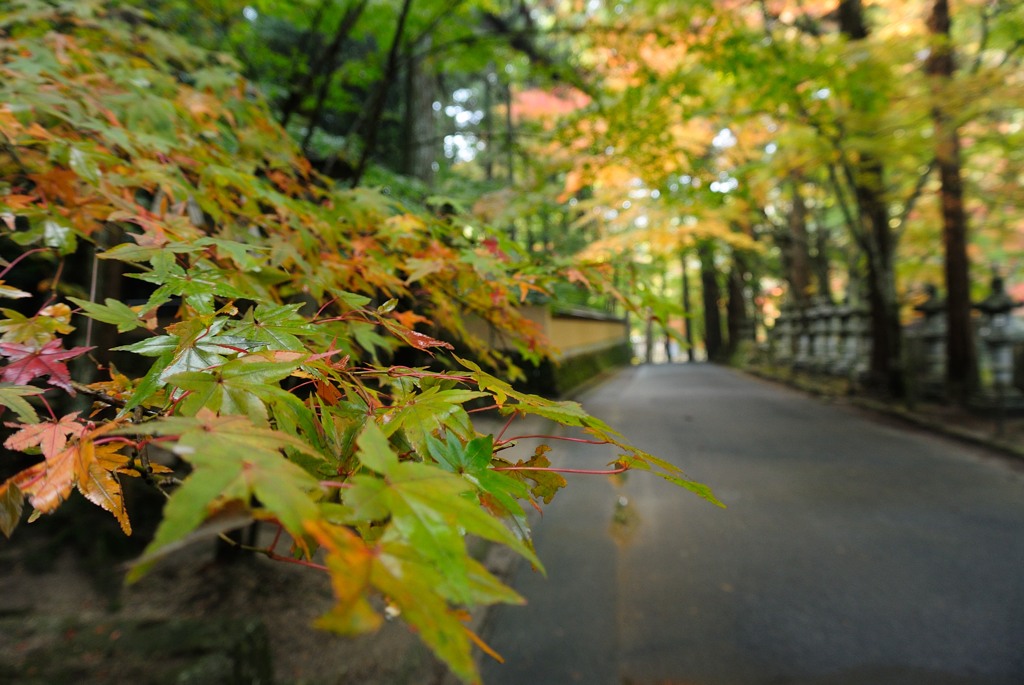 佛通寺　～参道～　PartⅡ