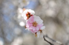 おやつの時間♪