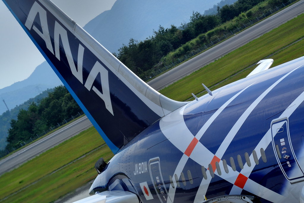Boeing 787 vertical tail
