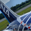 Boeing 787 vertical tail