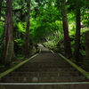 深山の誘い