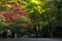 秋のおもいで