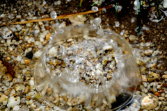 splash dome