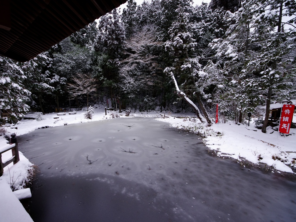 薄氷の紋様