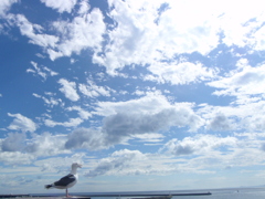 一休憩