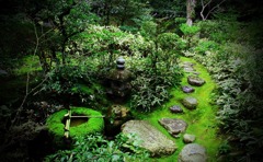 高桐院