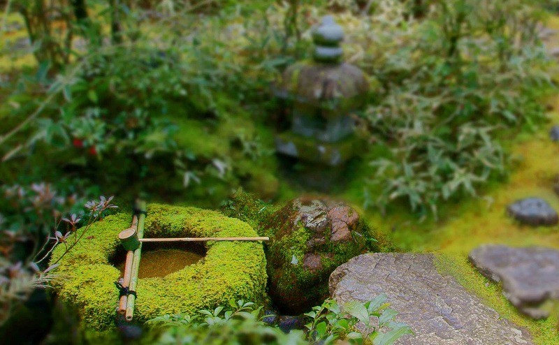 高桐院