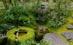 高桐院