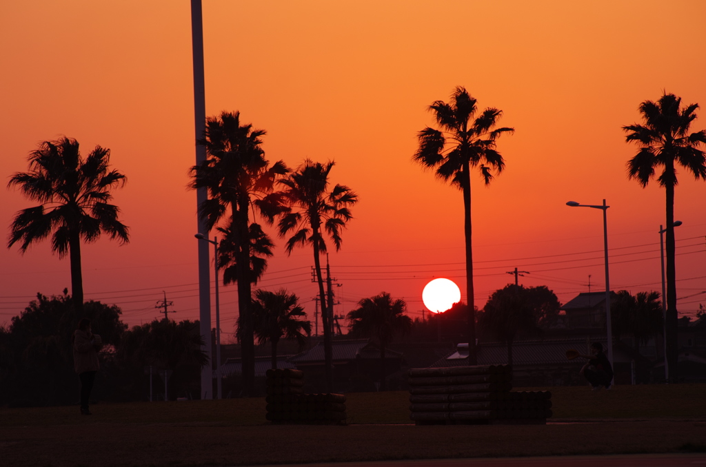 夕日2