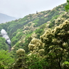 小雨の中
