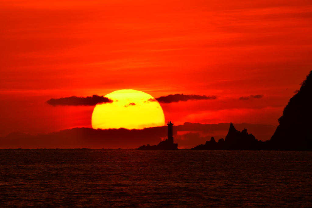 大水無瀬島の　ピカチュー？