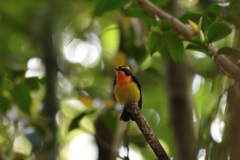 今年も会えたね