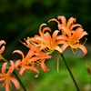 炎