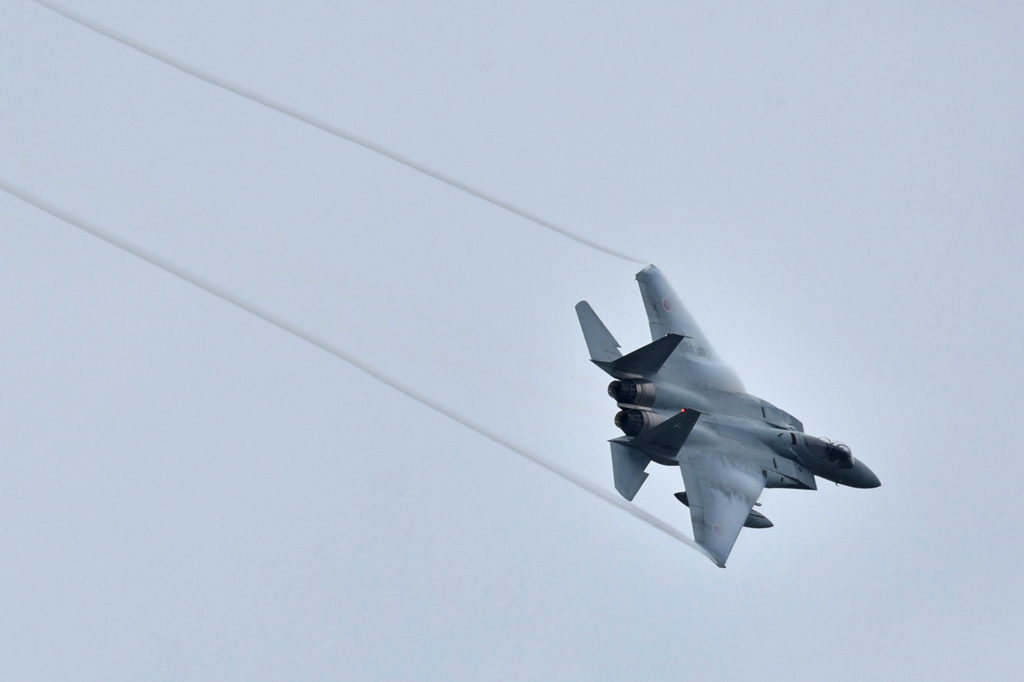 曇りの中のＦ－15