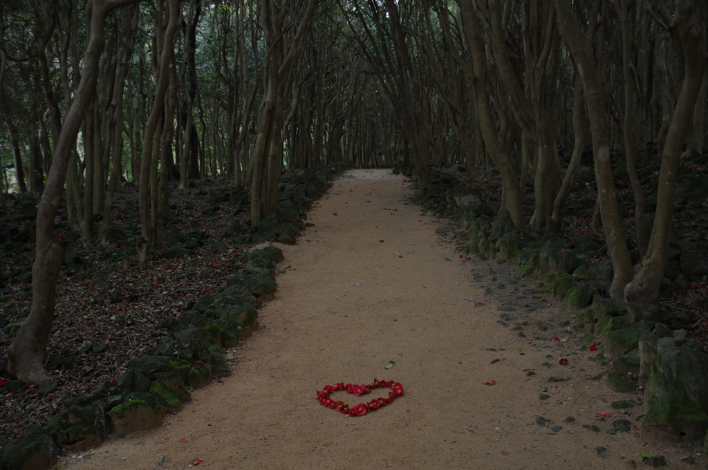 ハートのお迎え