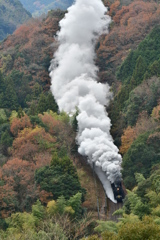 プチ山登り