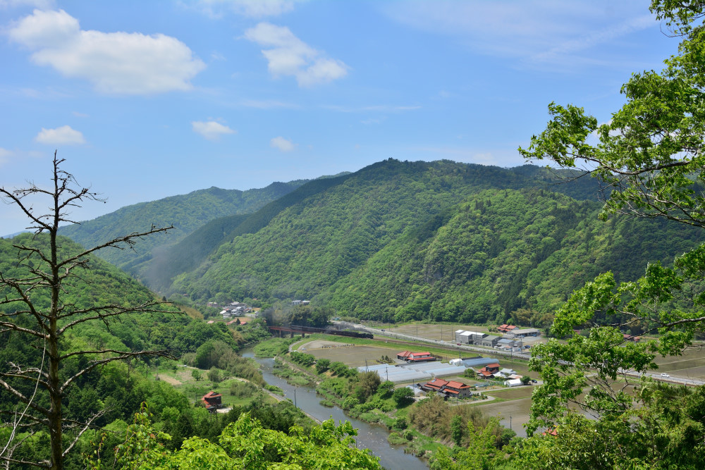 長門峡にて新緑を楽しむ