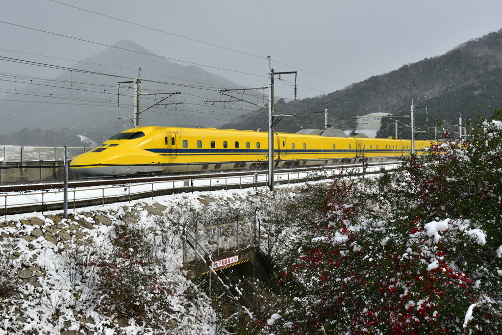 振り返ってのドクターイエロー