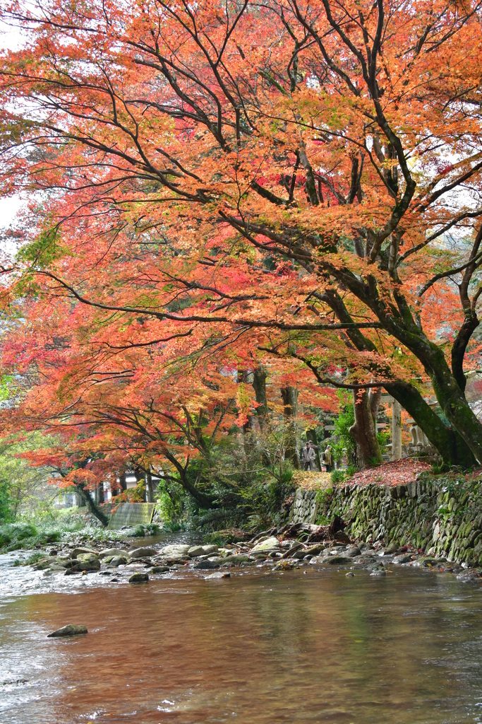 赤田神社にて