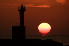 ダルマ　ア・サ・ヒ