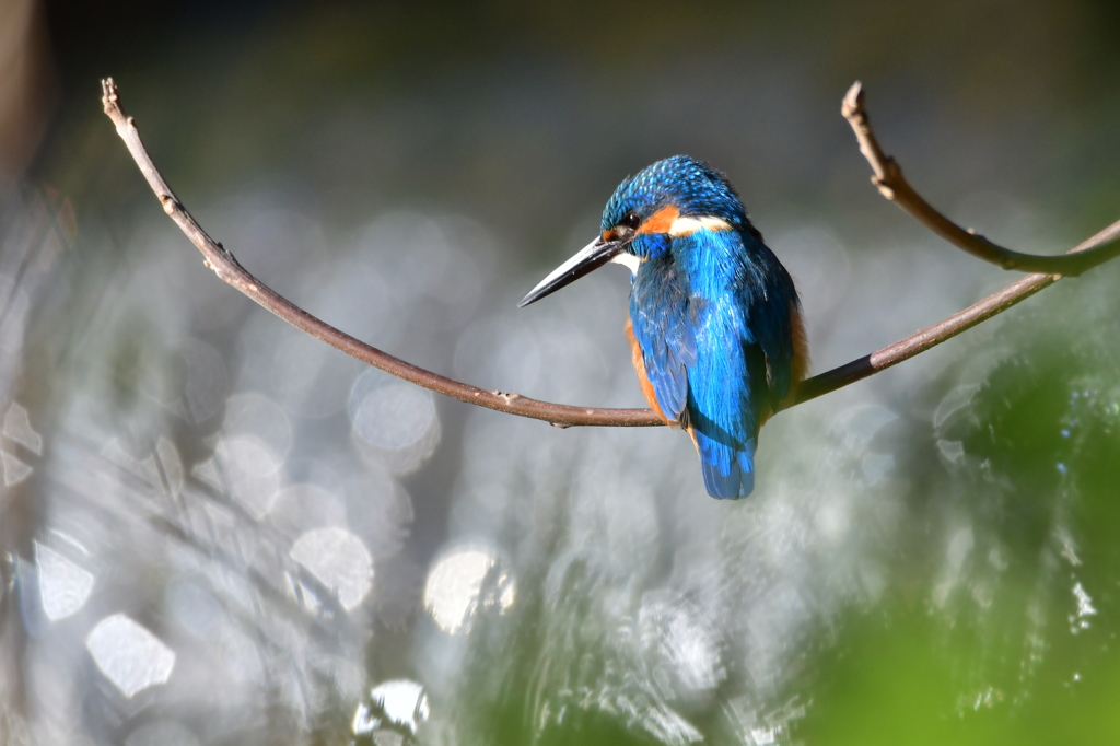 お持ち帰りをせねば