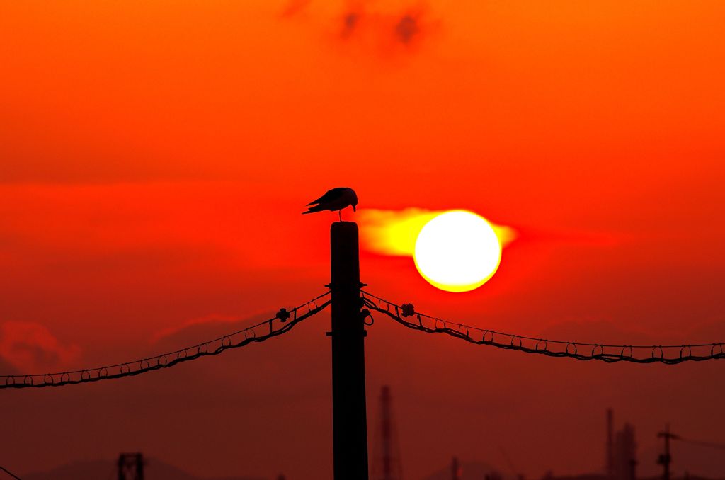 夕日に感謝