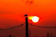夕日に感謝