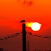 夕日に感謝