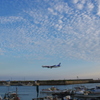 landing 2
