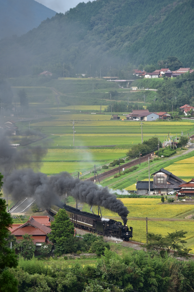 全線運転再開一周年2