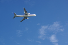 青空の中に