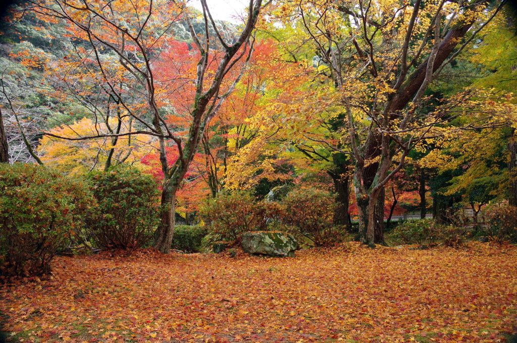秋の大寧寺5