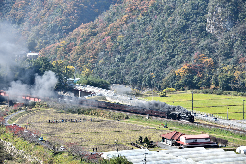 秋を走るやまぐち号