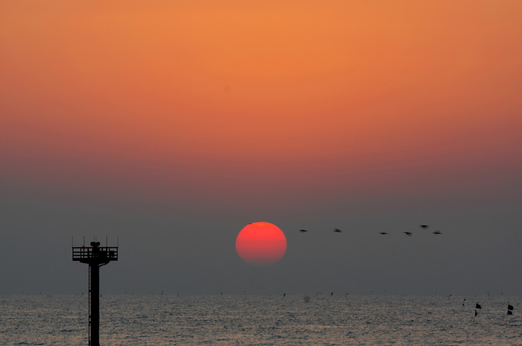 2014年最後の朝日2