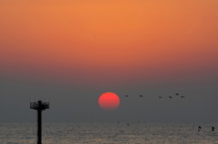 2014年最後の朝日2