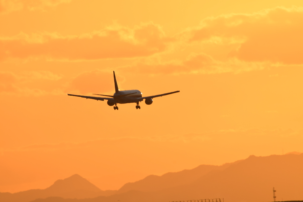 たそがれのANA697