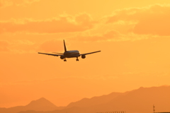 たそがれのANA697