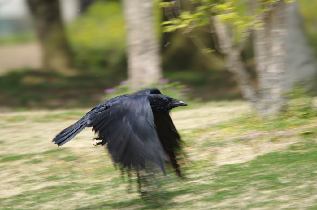 こそっと逃げろ